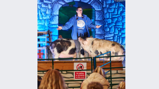 Mr. Ev's Mini Panto Show