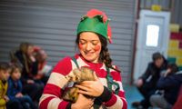 Animal Petting at Cantref Adventure Farm Christmas Grotto