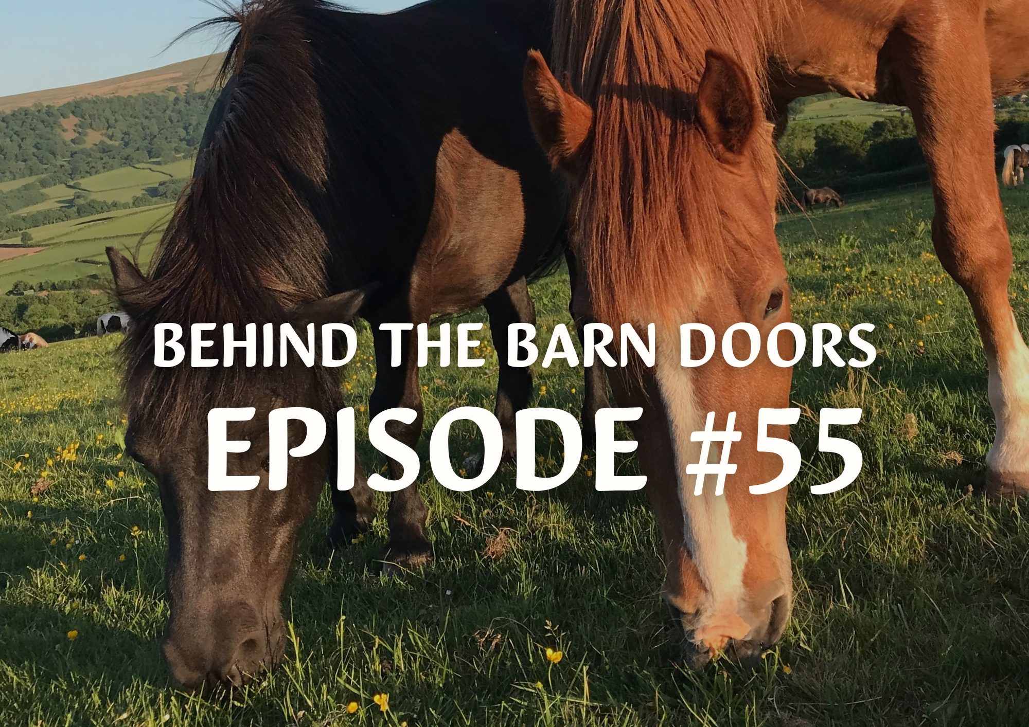 Cantref Behind The Barn Doors Episode 55