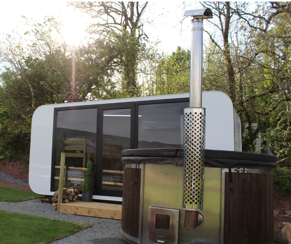 Bluebell pod Cantref