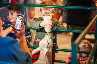 An image of a young boy bottle feeding a lamb and a family member catching the moment on their phone.