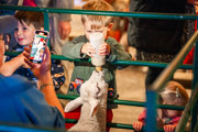 An image of a young boy bottle feeding a lamb and a family member catching the moment on their phone.