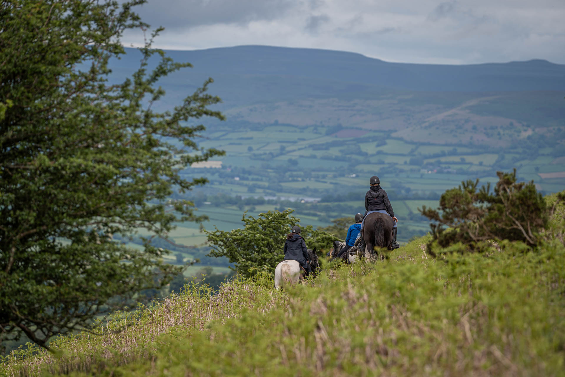 An image of a line of single file horse riders heading of into the distance, greenery surrounding them.