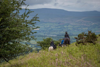 An image of a line of single file horse riders heading of into the distance, greenery surrounding them.