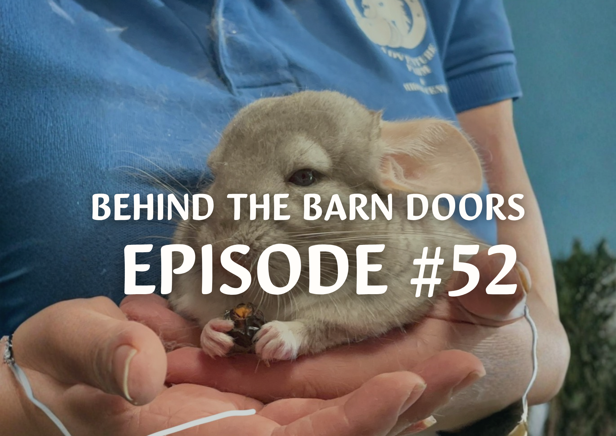 Website Behind The Barn Door Blog (34)
