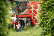 An image of a child sitting in the cab of a red combine harvester, pretending to drive it, whilst family members play in the tubes around the combine.