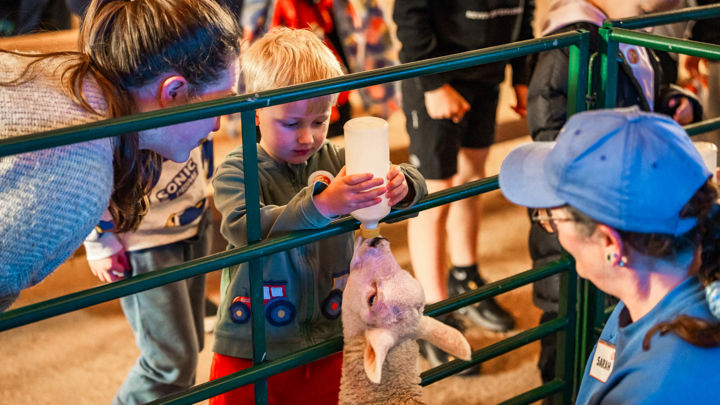 Interactive Animal Experiences & Family-Friendly Shows