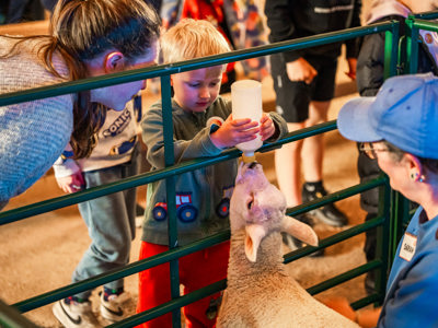 An image of a young boy bottle feeding a lamb.