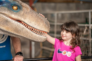 An image of a girl stroking Blue the velociraptor at Cantref Adventure Farm's dino meet and greet.