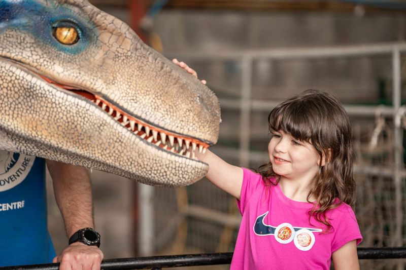 Cantref Adventure Farm - dino 05