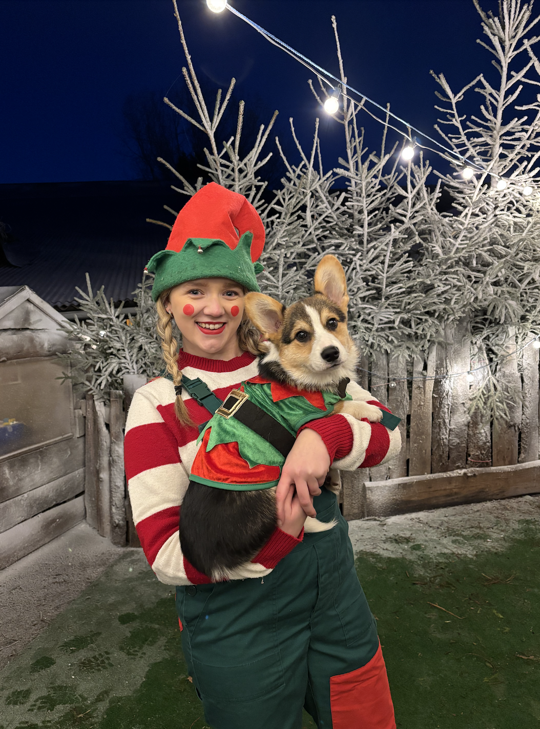 Santa Paws (1)