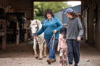 An image of a member of the Cantref team bringing a white pony out the stable for a young girl.