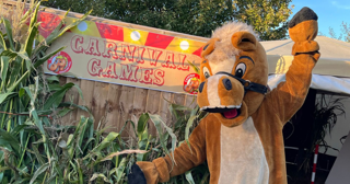 Carnival Games - Halloween at Cantref Adventure Farm