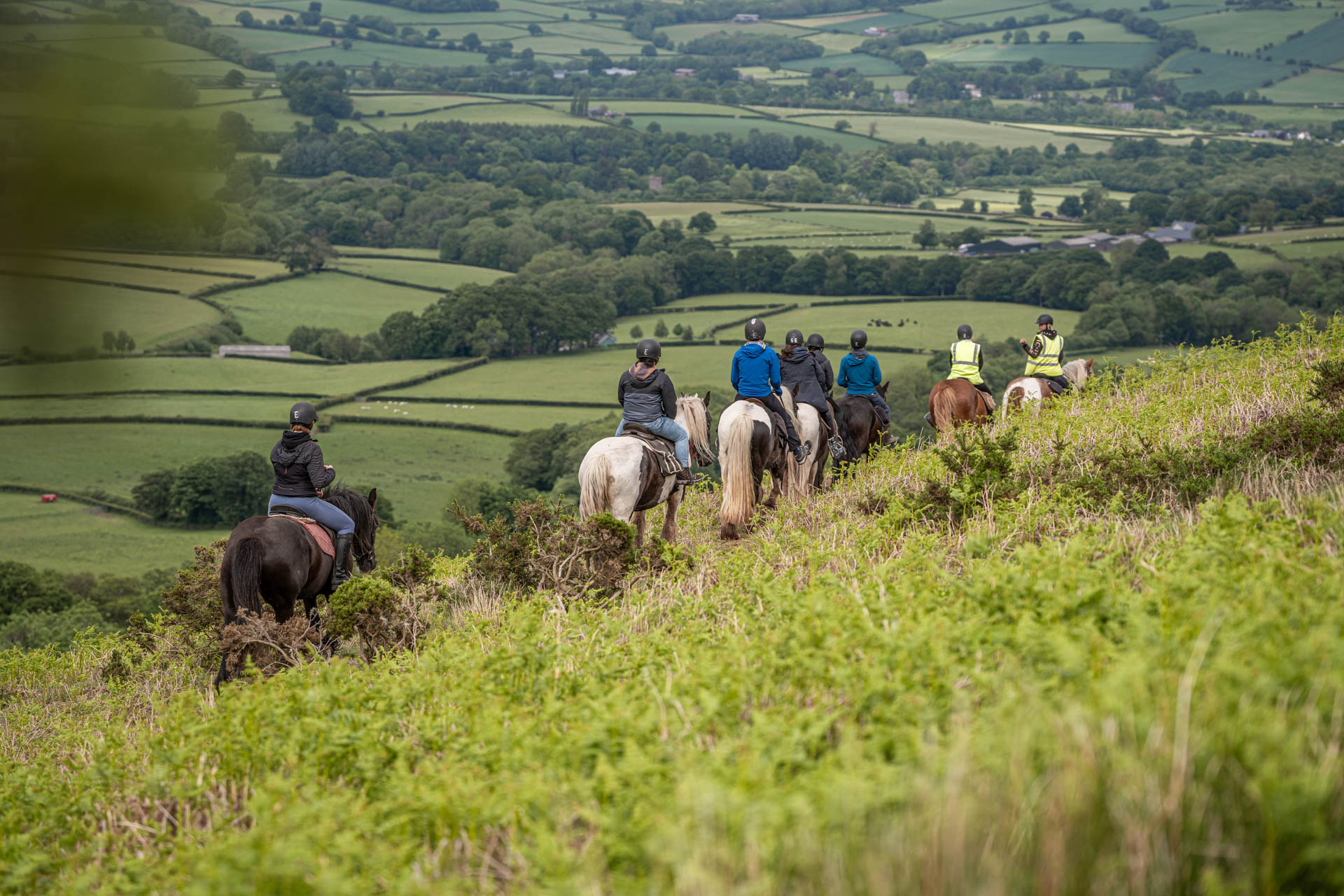 An image of a line of single file horse riders heading of into the distance, greenery surrounding them.