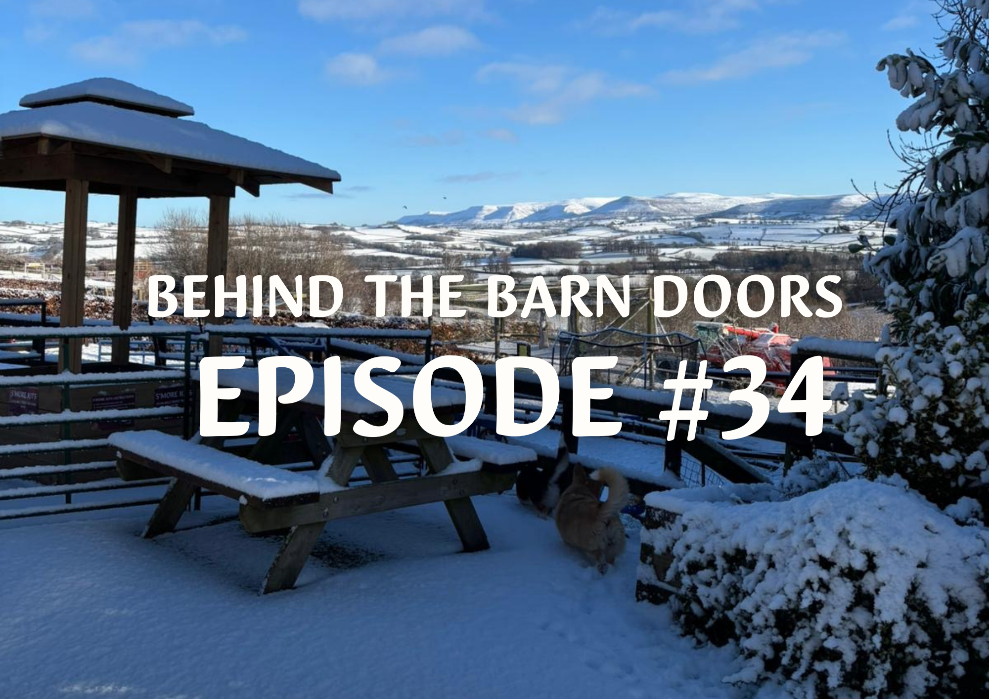 Website Behind The Barn Door Blog (25)