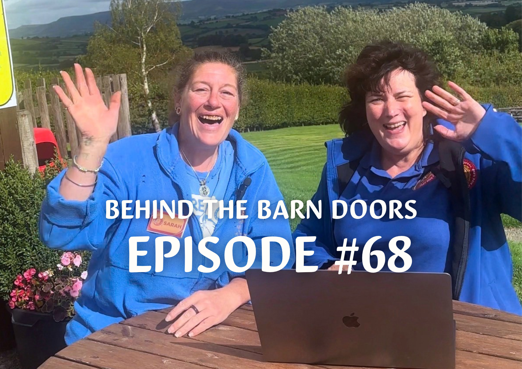 Website Behind The Barn Door Blog 68