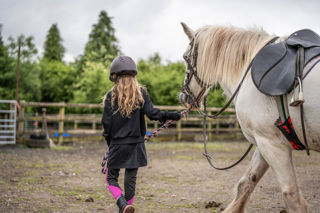 An image of a girl wearing a riding helmet, leading a small white horse into the riding area.