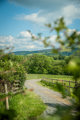 An image of a winding stone path leading straight from Cantref's campsite into the luscious green, Brecons.
