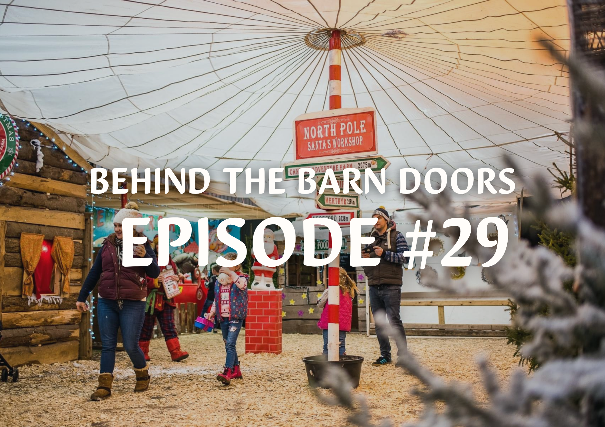 Website Behind The Barn Door Blog (20)