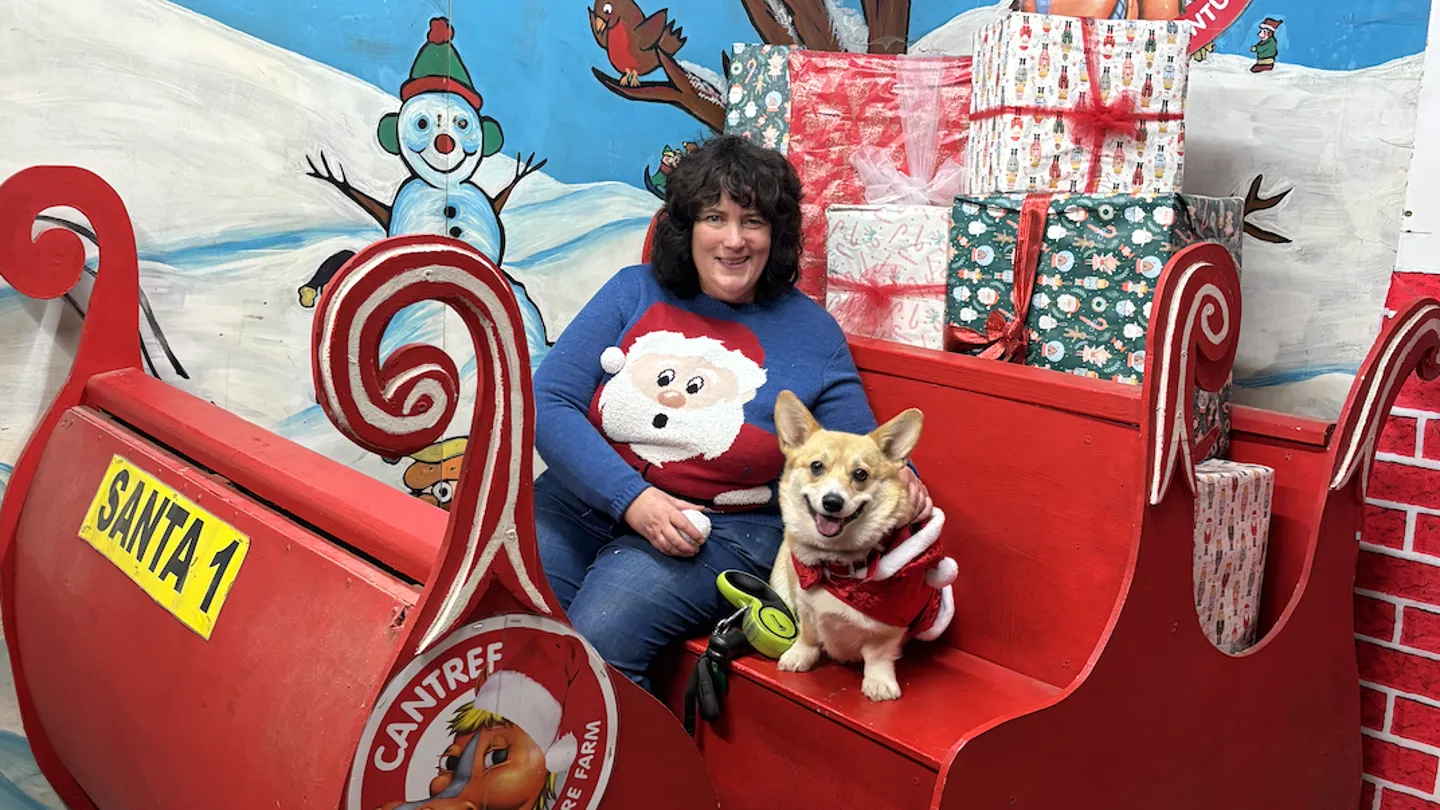 Christmas At Cantref Adventure Farm , Brecon Beacons. Dog Friendly Chrsitmas
