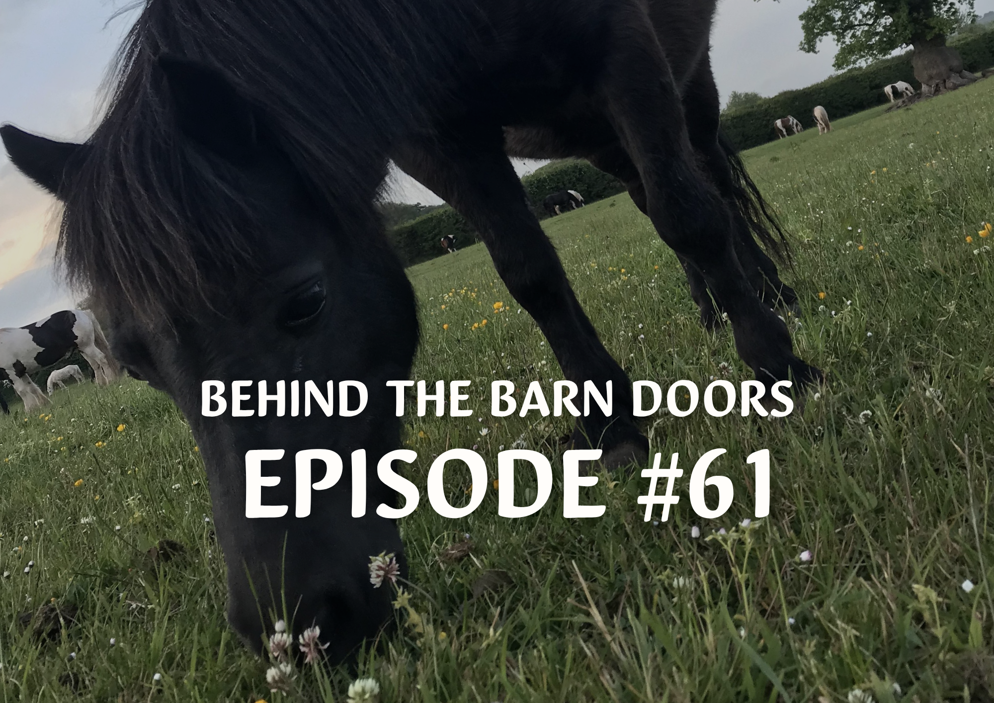 Website Behind The Barn Door Blog (37)
