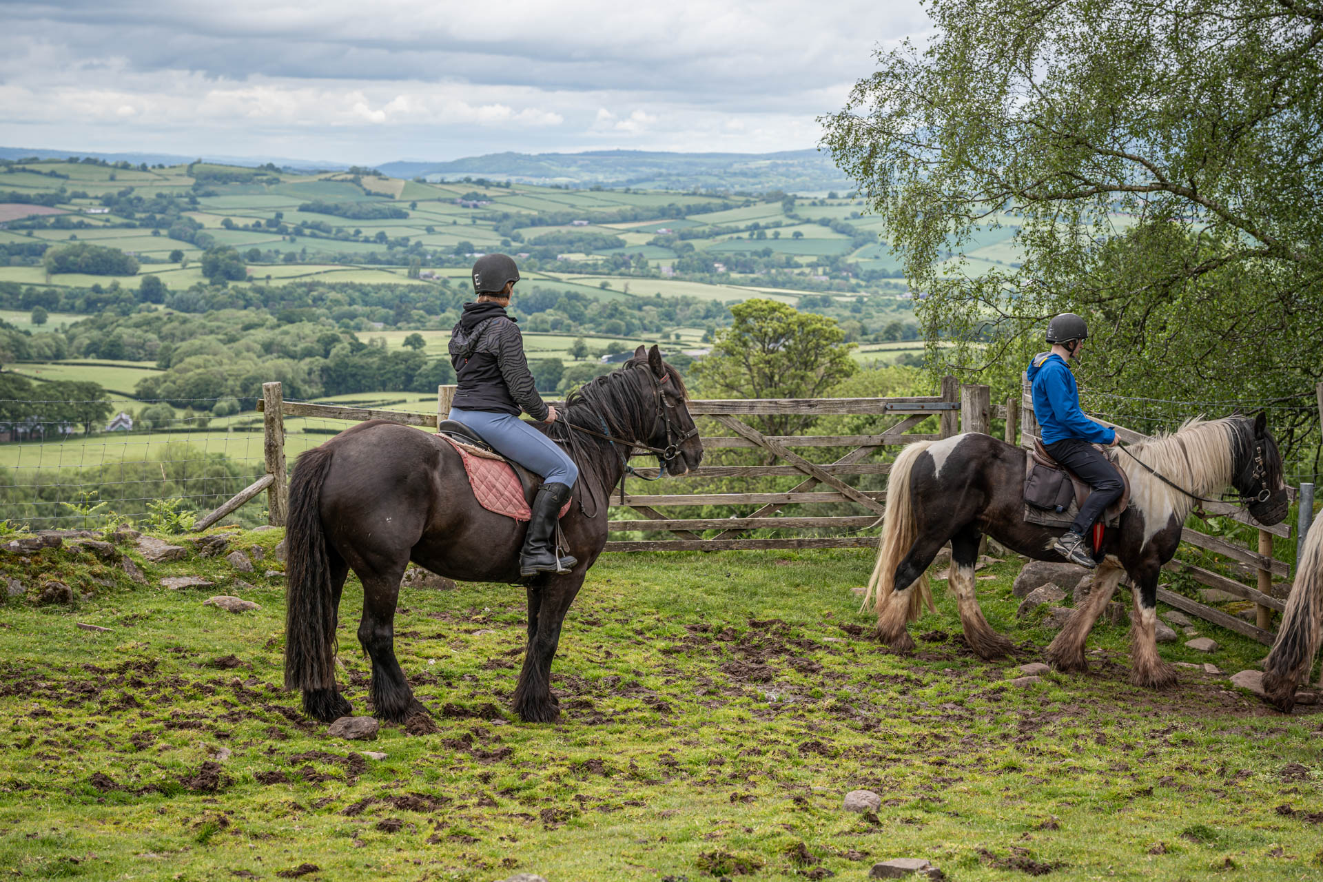 An image of a rider on horseback waiting to go through a gate and taking in the beautiful view.